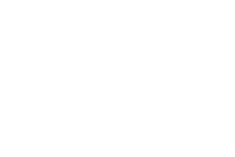 CAPTIVE SOCIETY